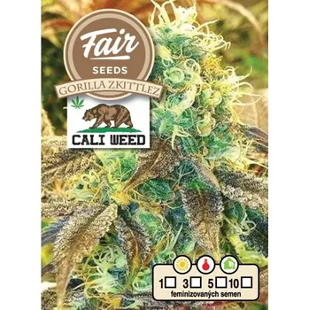 Semeno Fair Seeds - Gorilla Zkittlez 5 ks