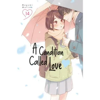 CONDITION CALLED LOVE V14 (V14)(Brožovaná)