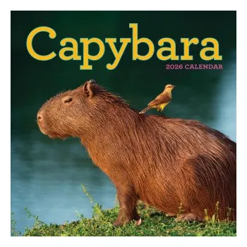 Kalendář CAL 26 CAPYBARA (WALL)(Kalendář)