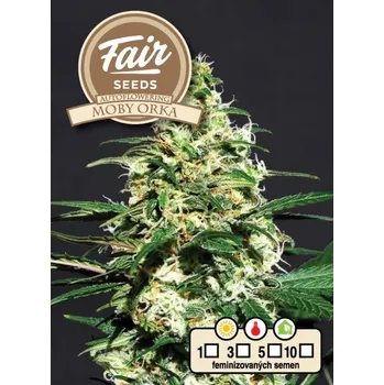 Semeno Fair Seeds - Auto Moby Orka 10 ks
