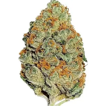 Semeno Fast Buds - Lemon Mandarin 1 ks