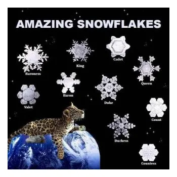 Učebnice Amazing Snowflakes (Richard Matevosyan,Naira Matevosyan)(Brožovaná)