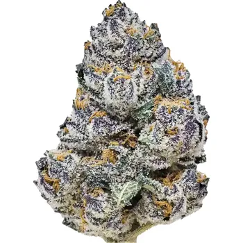 Semeno Fast Buds - Rainbow Melon 1 ks