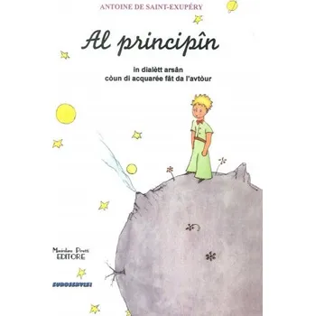 Principin. Testo reggiano (Al) (Antoine de Saint-Exupéry)(Brožovaná)