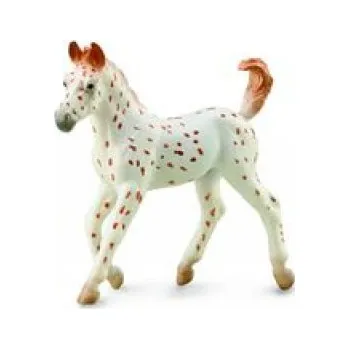 Koń Knabstrupper Foal (Brožovaná)