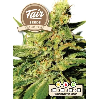 Semeno Fair Seeds - Darkstar 5 ks
