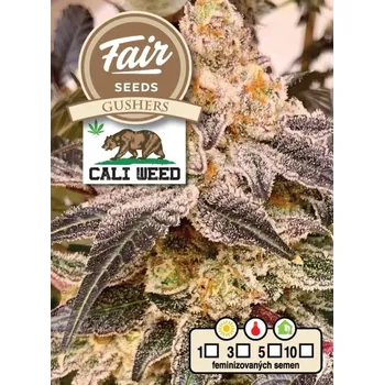 Semeno Fair Seeds - Gushers 10 ks