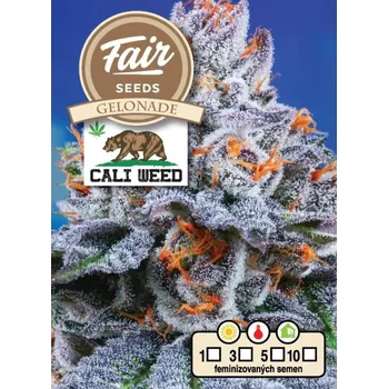 Semeno Fair Seeds - Gelonade 5 ks