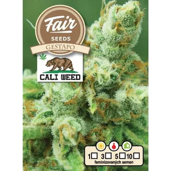 Semeno Fair Seeds - Gestapo 10 ks