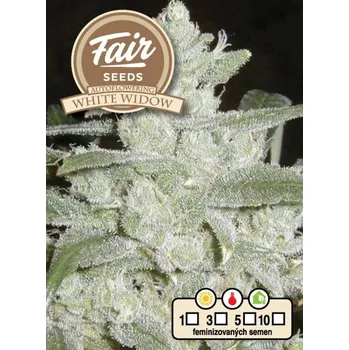 Semeno Fair Seeds - Auto White Widow 5 ks