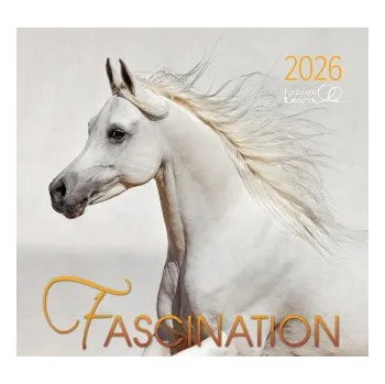 Kalendář Edition Boiselle Fascination 2026 Arabští koně 2026