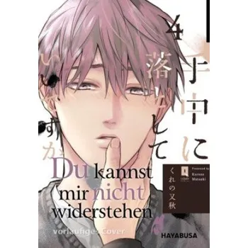 Komiks pro dospělé Du kannst mir nicht widerstehen 4 (Melania Schmitz)(Brožovaná)