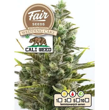 Semeno Fair Seeds - Auto Wedding Cake 10 ks
