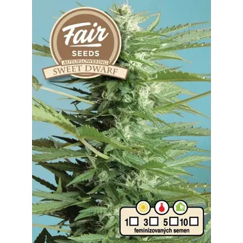 Semeno Fair Seeds - Auto Sweet Dwarf 5 ks