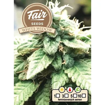 Semeno Fair Seeds - White Widow 5 ks