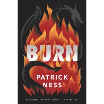 Cizí jazyk Burn (Patrick Ness)(Pevná)