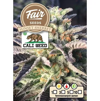 Semeno Fair Seeds - Sunset Sherbet 3 ks