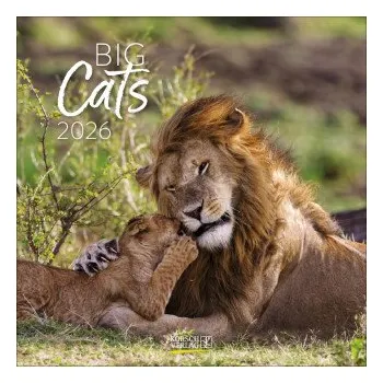 Kalendář Big Cats 2026 (Kalendář)