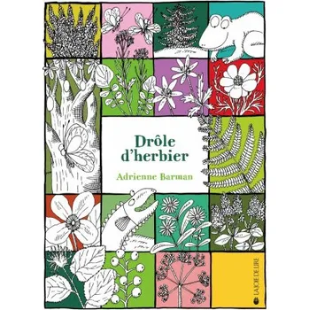 DROLE D'HERBIER (Adrienne BARMAN)(Kniha)