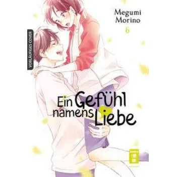 Komiks pro dospělé Ein Gefühl namens Liebe 06 (Yayoi Okada-Willmann)(Brožovaná)
