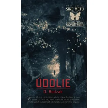 Údolie (Dušan Budzak)(Pevná)