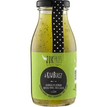 Domácí limonáda s kiwi, s mátou a chia semínky bez cukru 250ml JUKEROS
