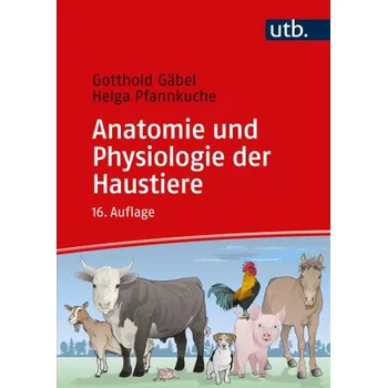 Anatomie und Physiologie der Haustiere (Klaus Loeffler,Helga Pfannkuche)(Brožovaná)