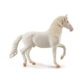 Koń Camarillo Biały (Brožovaná)
