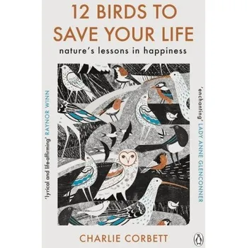 Cizojazyčná kniha 12 Birds to Save Your Life (Charlie Corbett)(Brožovaná)
