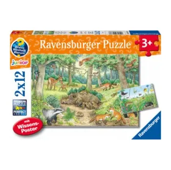 První čtění Ravensburger Kinderpuzzle - 05673 Tiere im Wald und auf der Wiese - 2x12 Teile + Wissensposter, Wieso? Weshalb? Warum? Puzzle für Kinder ab 3 Jahren (Marion Kreimeyer-Visse)(Hra)