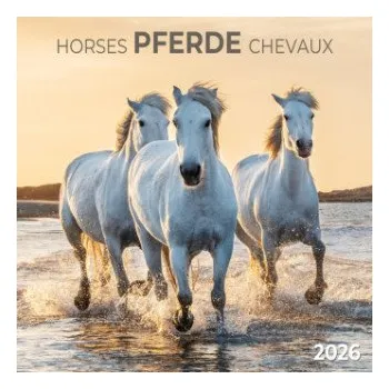 Kalendář Pferde/Horses 2026 (Kalendář)
