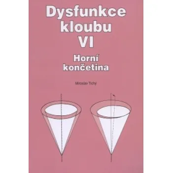 Dysfunkce kloubu VI. (Miroslav Tichý)(Brožovaná)