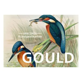 Postkarten-Set John Gould (John Gould)(Brožovaná)