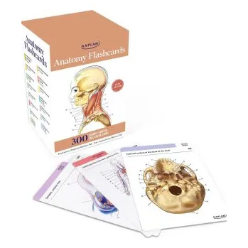 Desková hra Anatomy Flashcards: 300 Flashcards with Anatomically Precise Drawings and Exhaustive Descriptions (Stephanie McCann)(Hra)