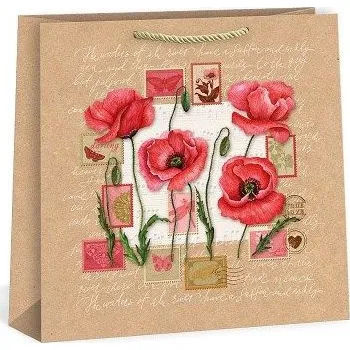 Dárková taška ARGUS Dárková papírová taška T9N (38 x 38 cm) 07800001