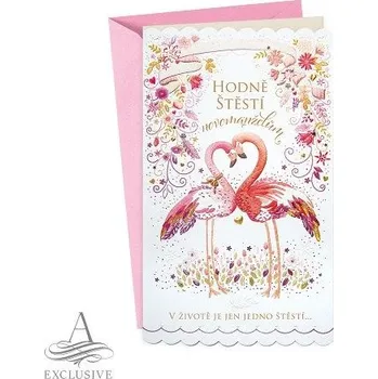 ARGUS Svatební přání s kapsou na peníze 13-6166c