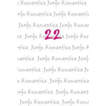 Komiks pro dospělé Junjo Romantica 22 (Alexandra Klepper)(Brožovaná)