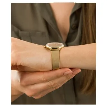 Hodinky Adriatica Hodinky A3572.1147QN Zlatá OS