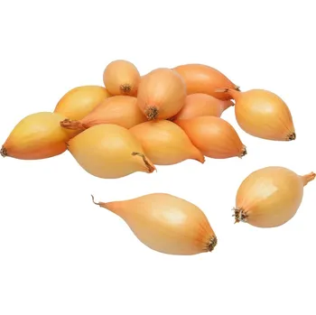 Semeno Cibule sazečka ozimá Augusta 250 g