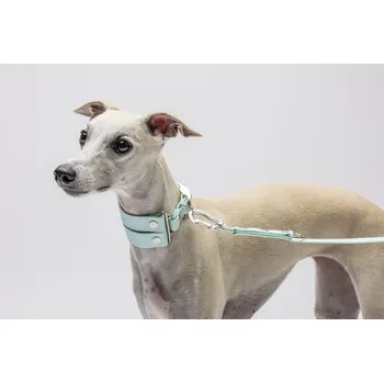 Obojek pro psa Hunting Dog chrtí obojek - pes Barva: Modrá
