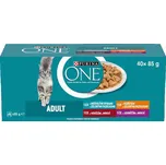 Purina ONE Adult Multipack minifiletky ve šťávě 40x85g