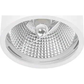 Stropní bodové svítidlo kulatý IdeaLed bílé