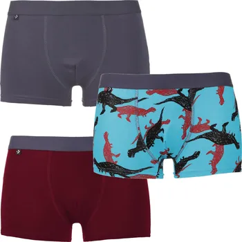 Chlapecké spodní prádlo Chlapecké boxerky spodní prádlo MORAJ 3 kusy 110-116