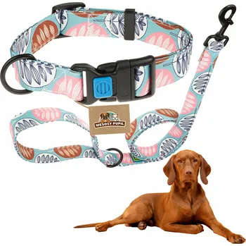 Obojek pro psa SET OBOJEK+VODÍTKO pro psa POHODLNÁ NASTAVITELNÁ barevná bezpečná spona L