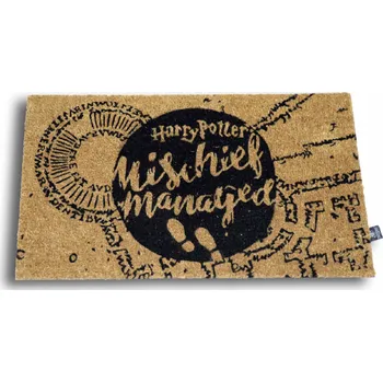 Rohožka Harry Potter Neplecha ukončena 60x40cm