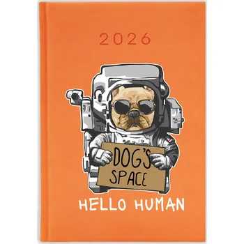 Kalendář Knižkový kalendář 2026 A5 FunnyCase modrý