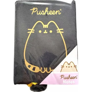 Zápisník Zápisník A5 St. Majewski černý