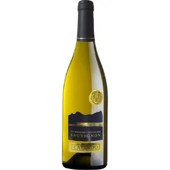 Giuseppe Campagnola Sauvignon Bianco Cataldo IGT 2024