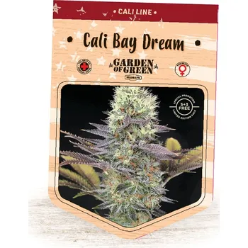 Semeno Garden Of Green Seedbank - Cali Bay Dream 1 ks