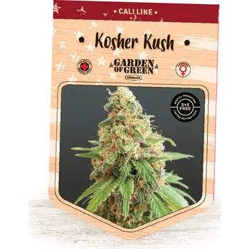 Semeno Garden Of Green Seedbank - Kosher Kush 1 ks